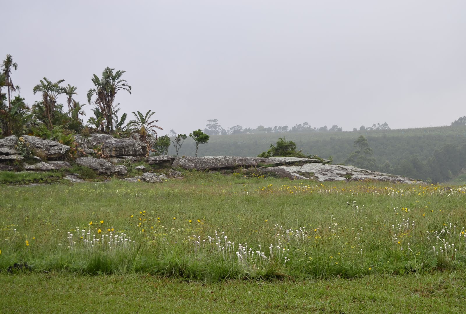 Umtamvuna Nature Reserve