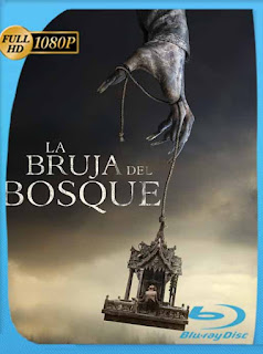 La bruja del bosque (Ghost House) (2017) HD [1080p] Latino [GoogleDrive] PGD