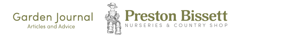 Preston Bissett Nurseries and Country Shop