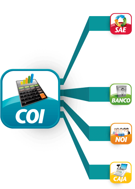 Paquetes Computacionales: ¿Que es COI?