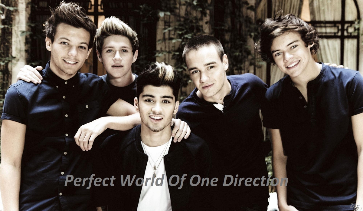 Perfect World Of One Direction