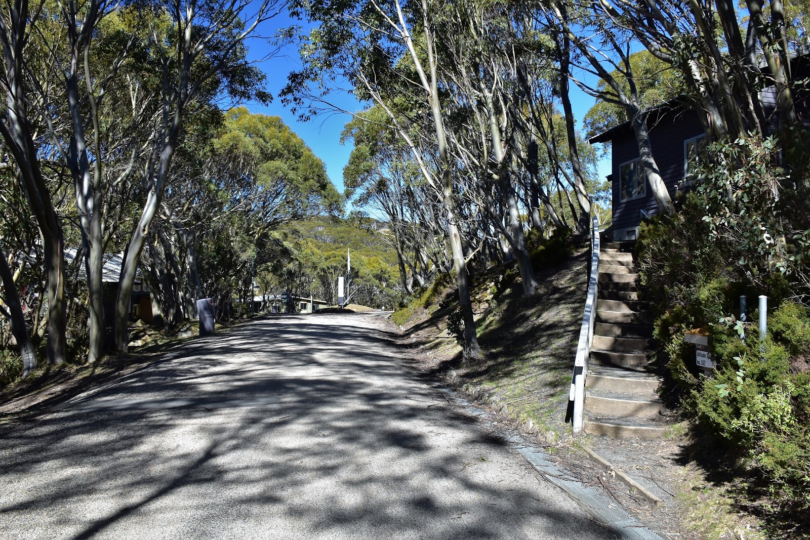 Goin' Feral One Day At A Time Baw Baw Village Circuit, Baw Baw