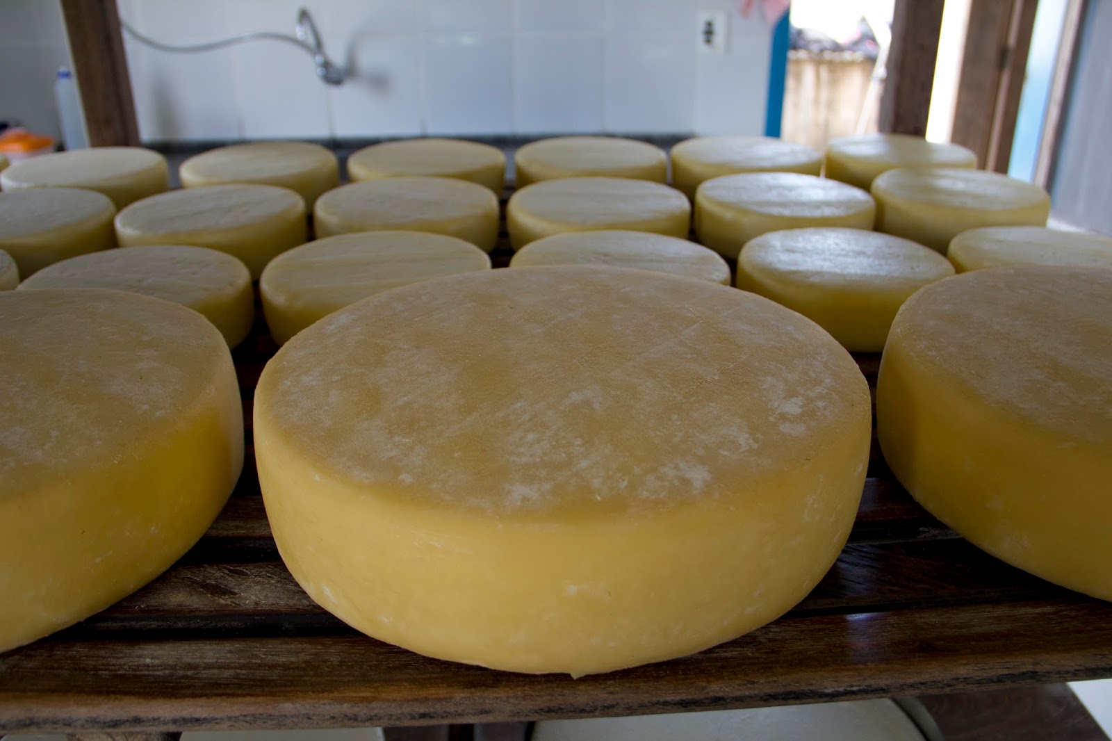 Conheça o Queijo Canastra Conheça Minas Conheça o Queijo Canastra Conheça Minas
