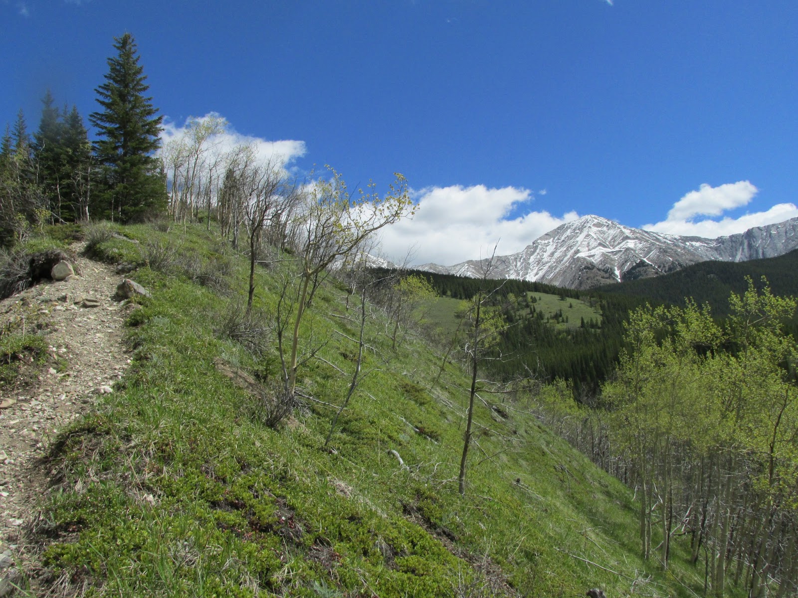 The Passionate Hiker: Lineham Ridge