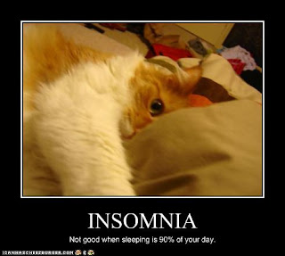 funny_pictures_cat_has_insomnia-funny pictures - funny photos