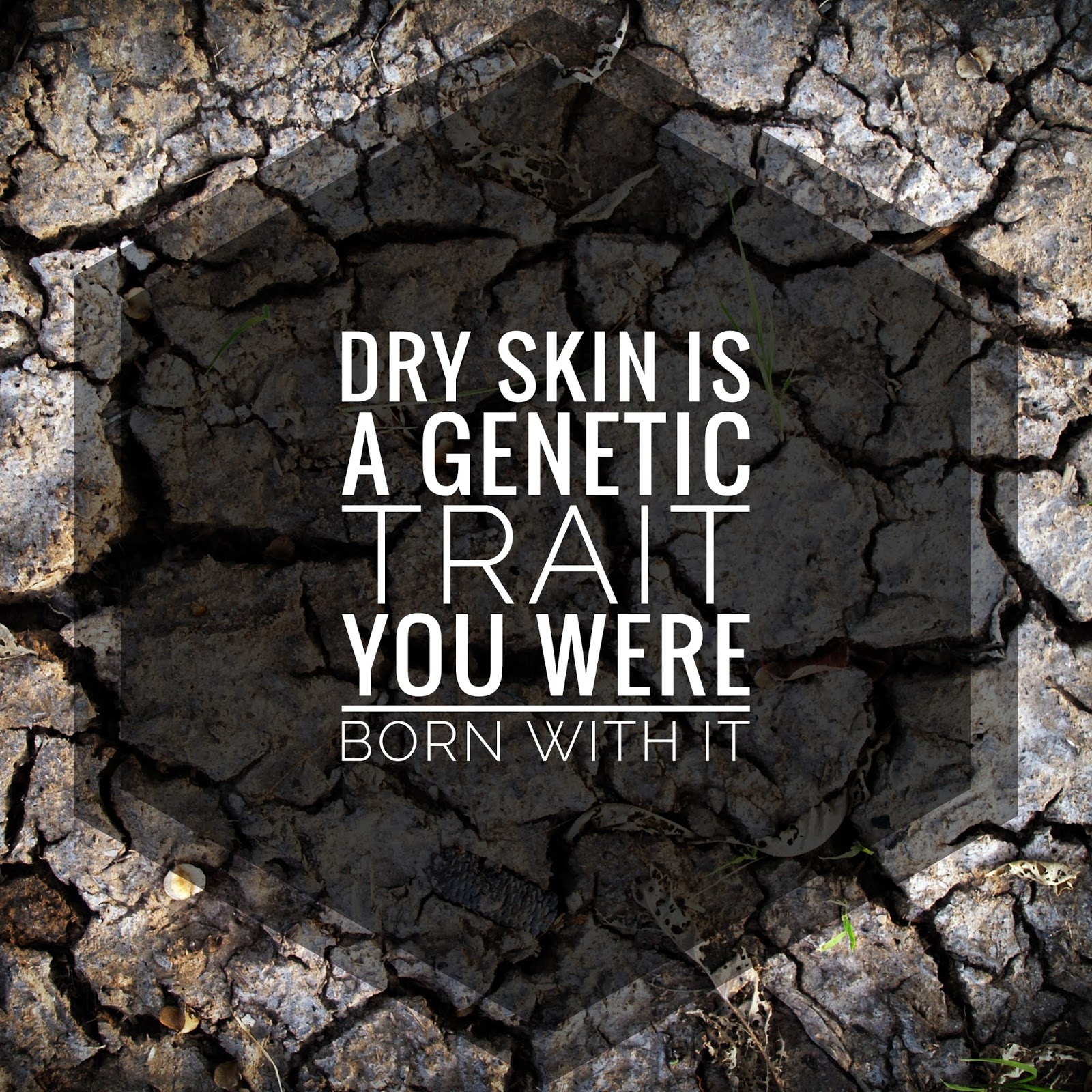 7 Signs of Moisture Barrier Damage Adina Mayo