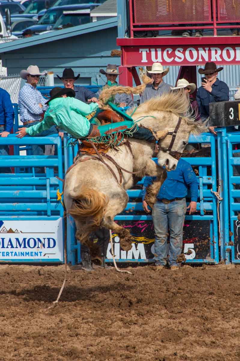 Kissack Adventures Rodeo Times Two!!