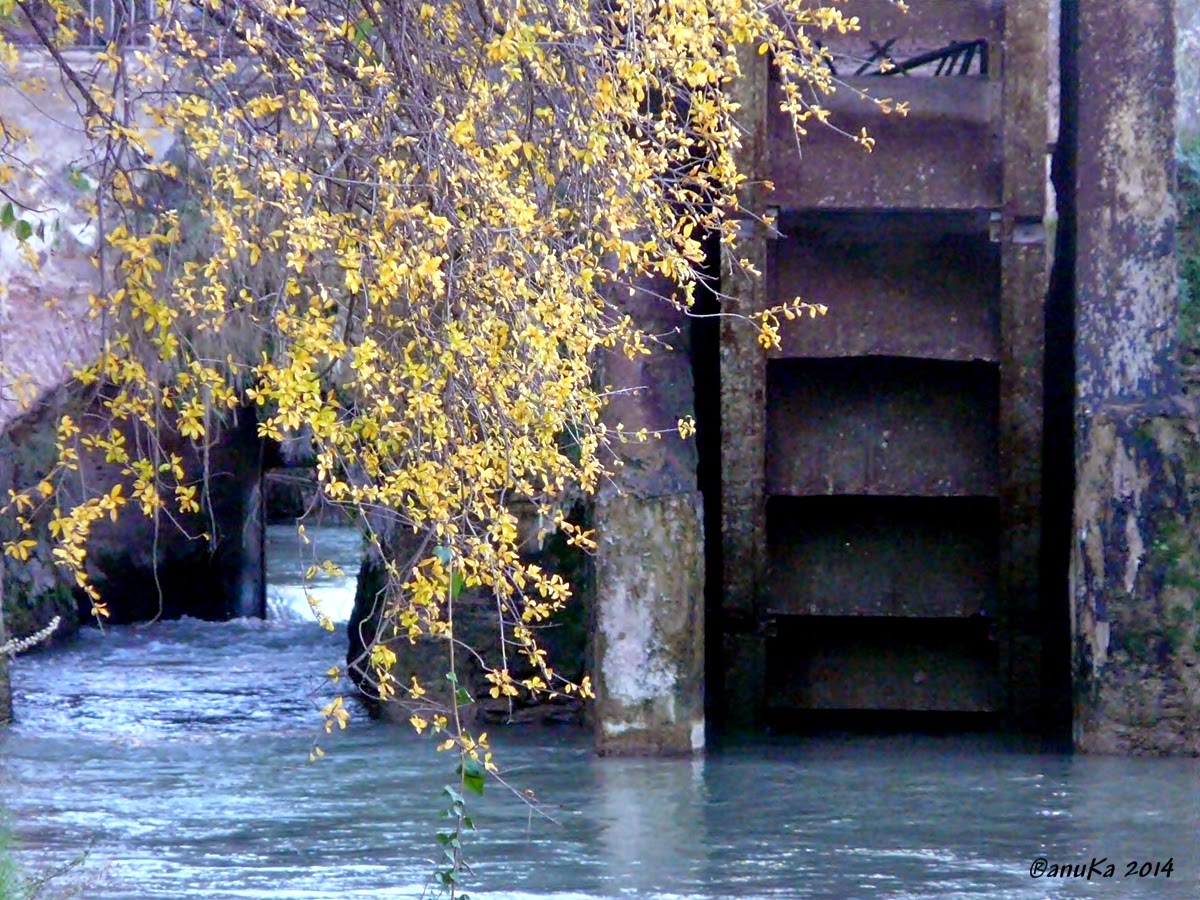 aNa en un click Rueda de Alcantarilla (Murcia)