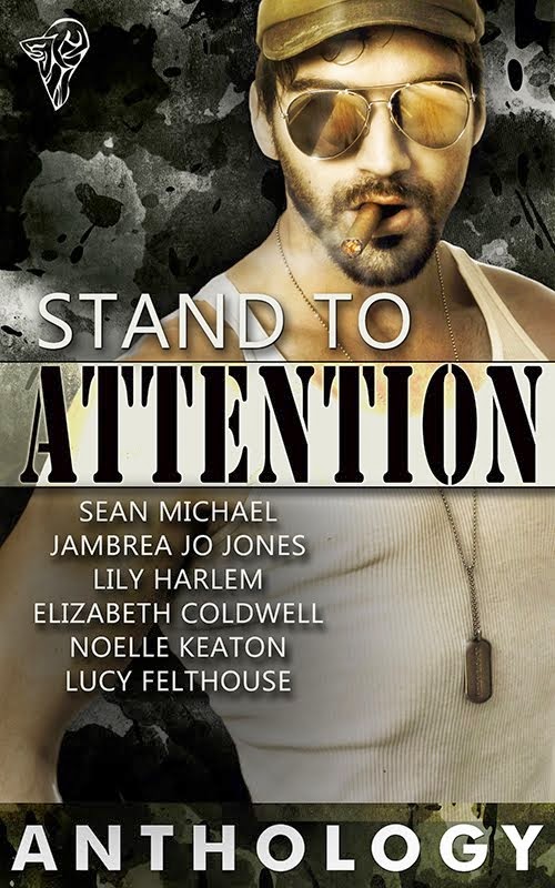 Stand To Attention Anthology