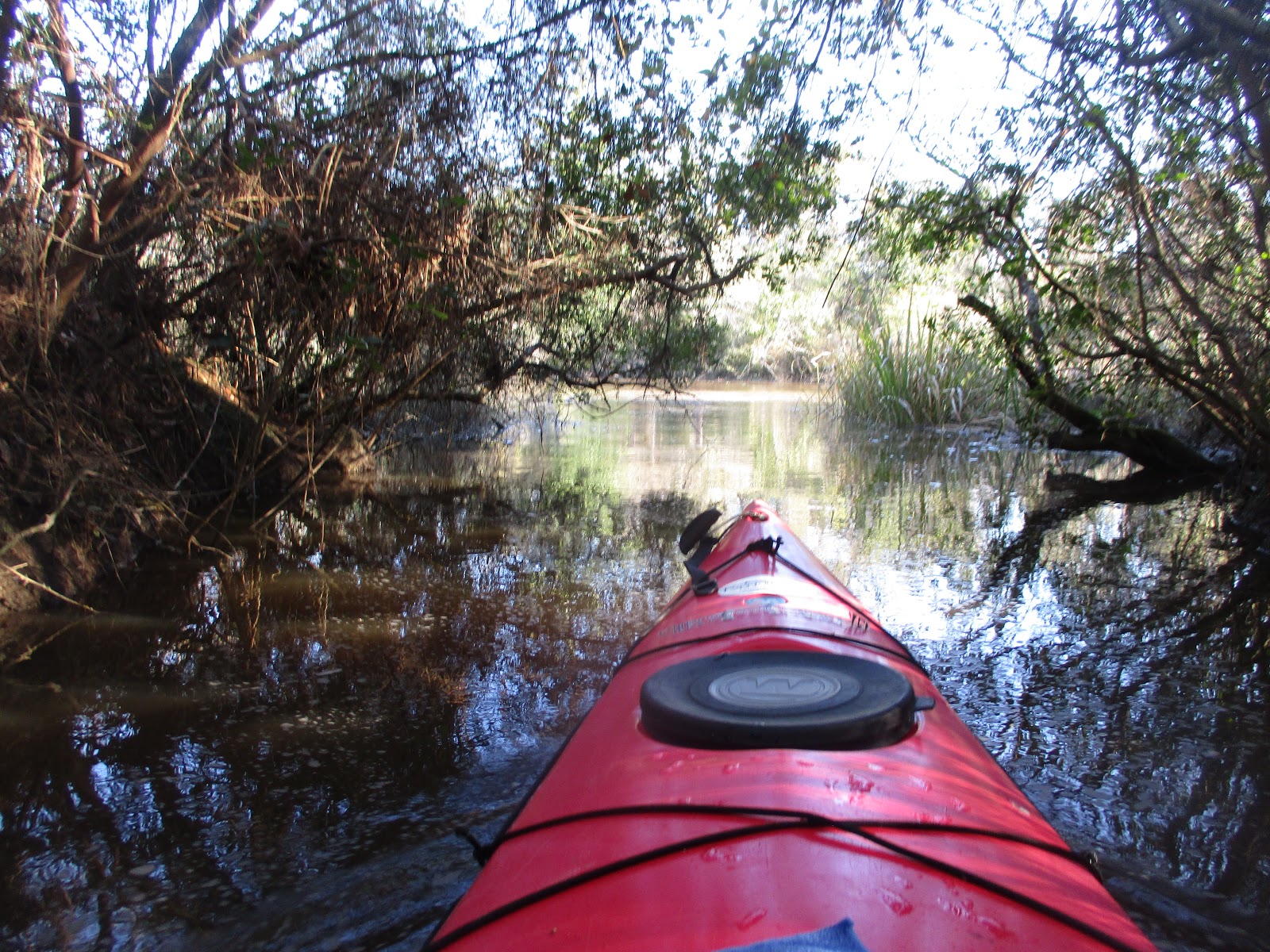 Dave's Yak Tales Jourdan River. Kiln, Mississippi