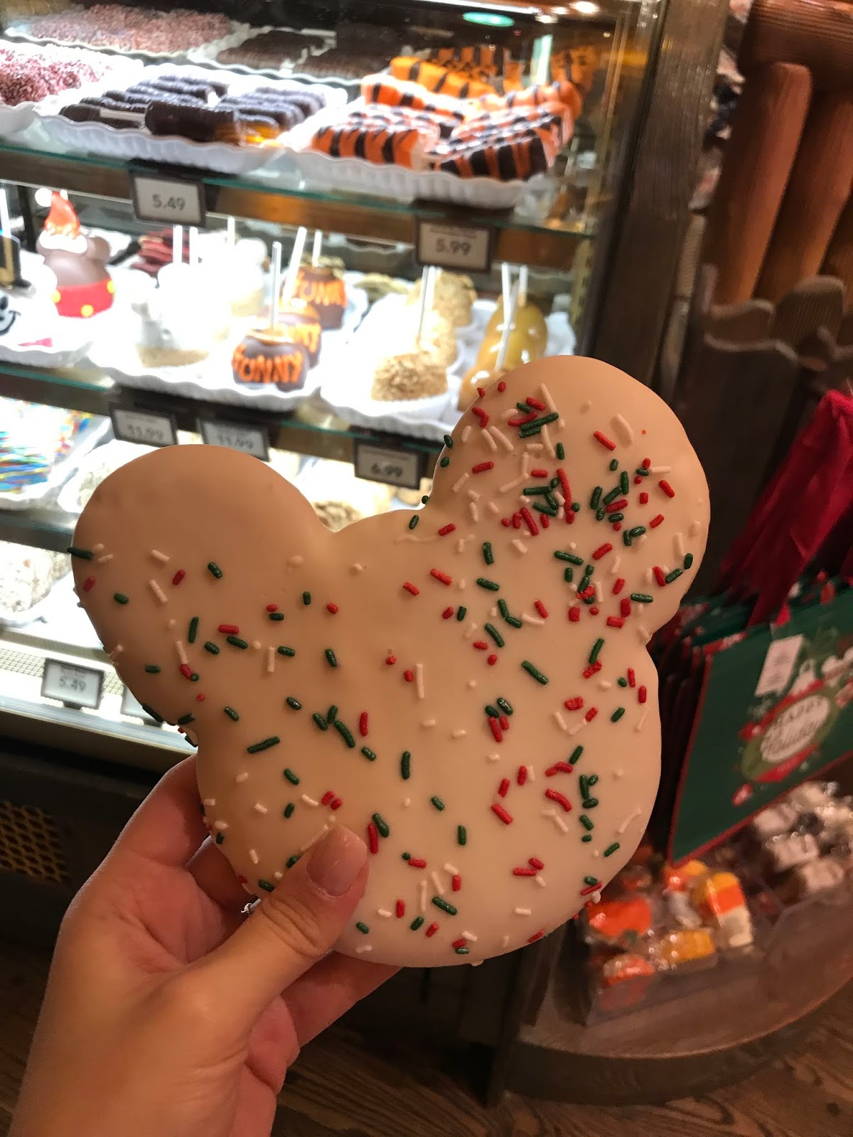 Bubbly Charm Guide to Disneyland Food!