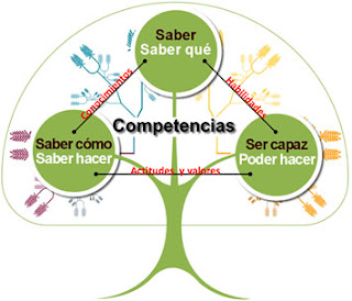 Diferencias entre capacidades, habilidades y competencias