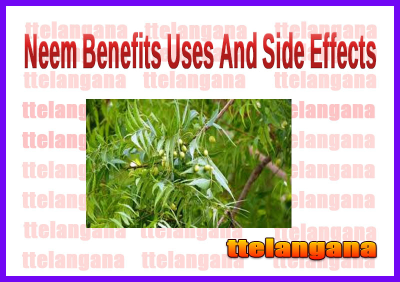Neem Benefits Uses And Side Effects