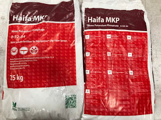 MKP Mono potassium Phosphate - Haifa Israel