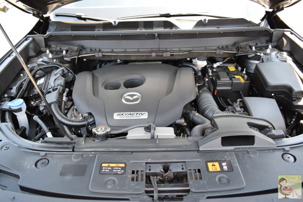 Woven by Words My Week With Blue Mazda CX9 Signature AWD