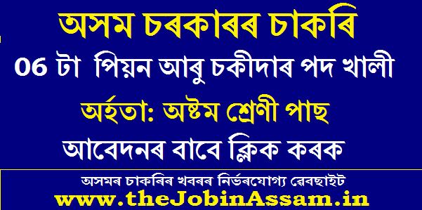 Chief Judicial Magistrate, Jorhat Recruitment 2020