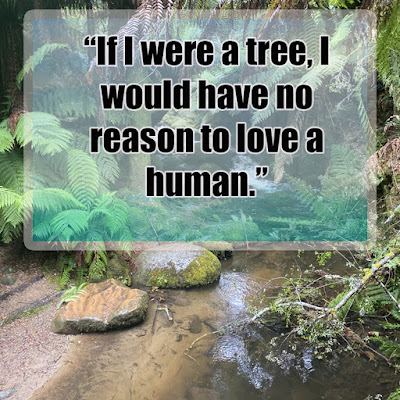 Inspirational quotes about trees Quotes on importance of trees Planting Tree Quotes