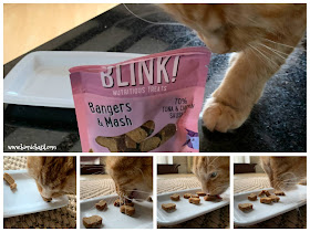 What's In The Box ©BionicBasil® Gus & Bella Santa Paws Box Fudge And The Treats