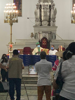 catedral metropolitana san pedro apóstol