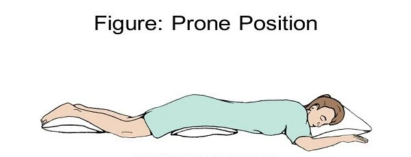 the prone position