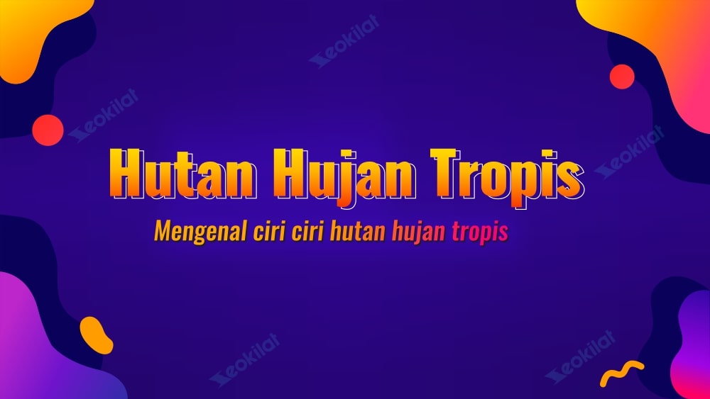 Ciri-ciri Hutan Hujan Tropis Ciri-ciri Hutan Hujan Tropis