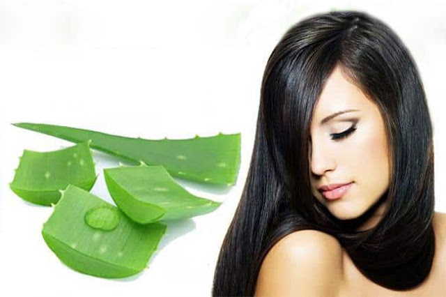 gambar cara menumbuhkan rambut dengan lidah buaya