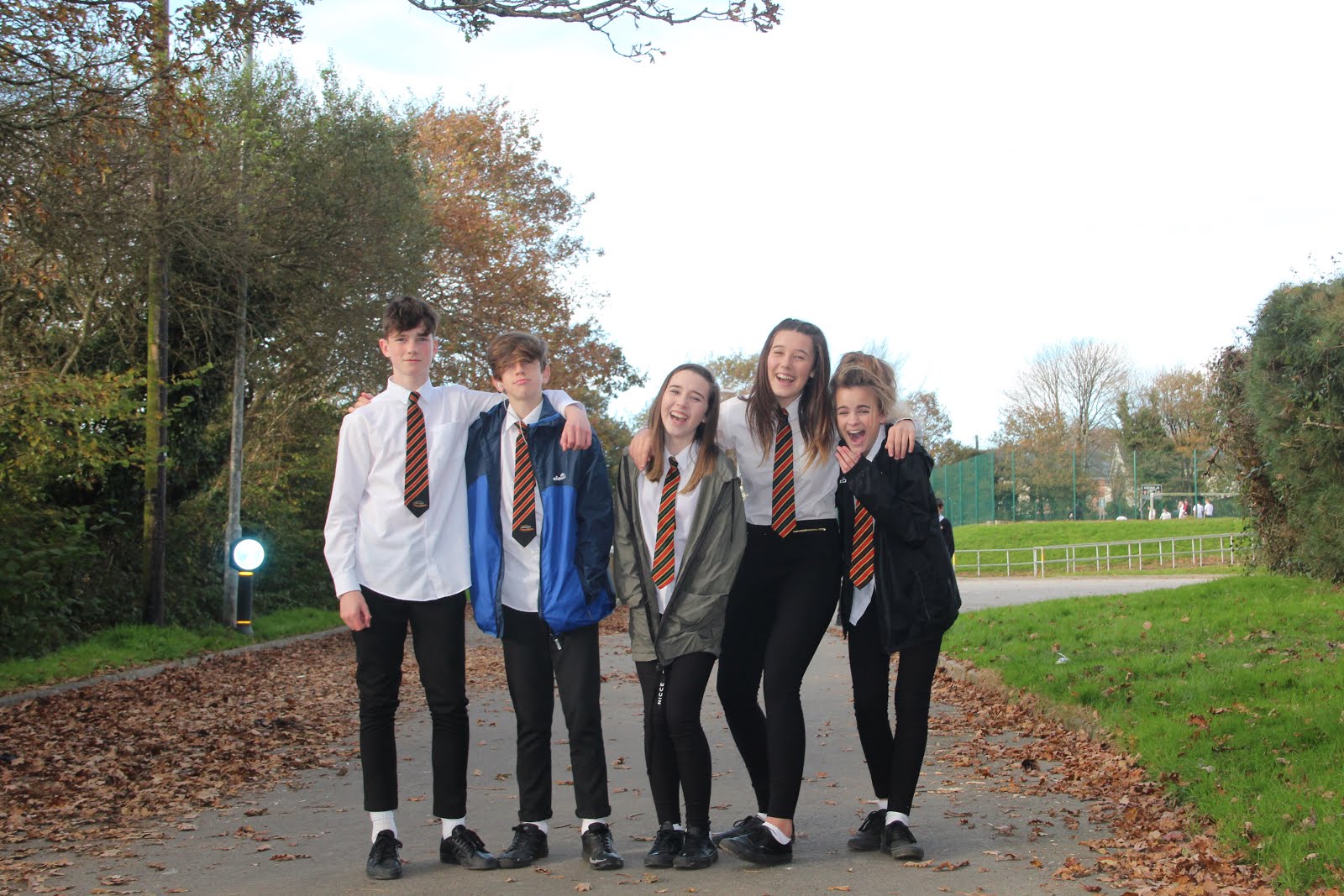 Photo assignments for beginners picture