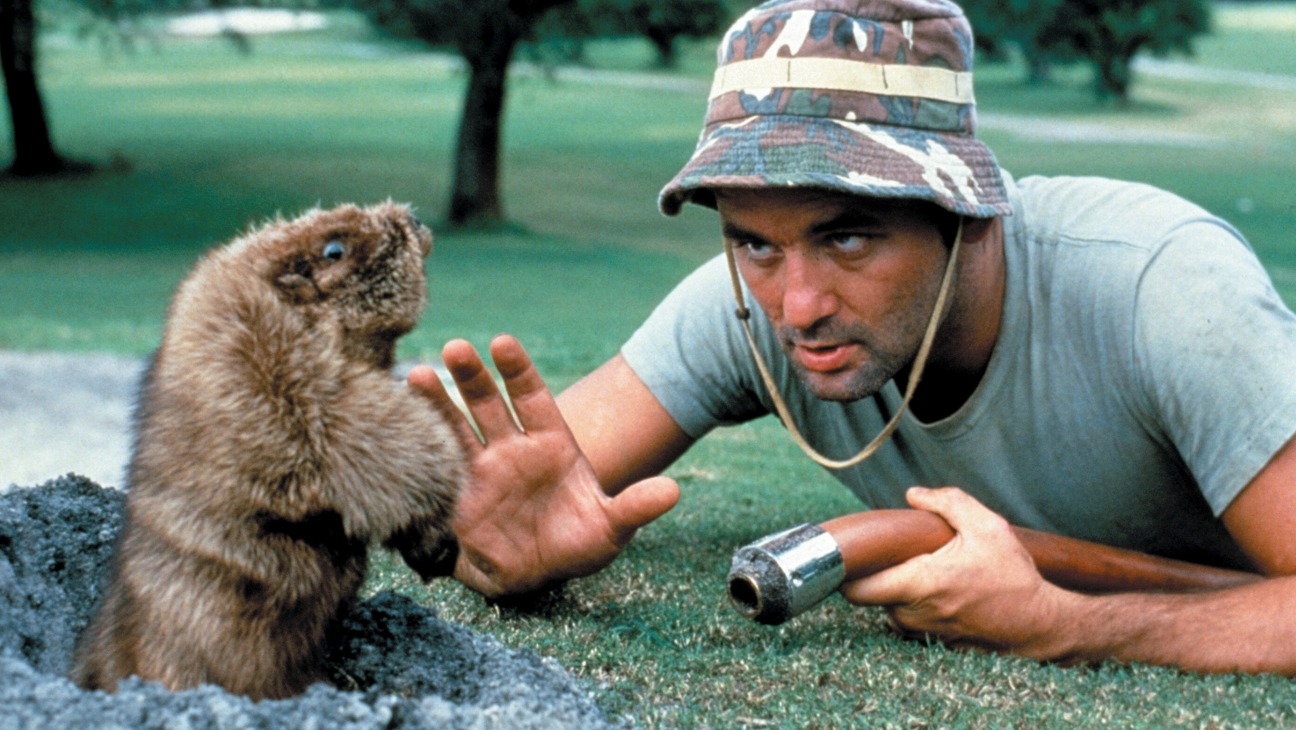 Movie Review Caddyshack (1980) The Ace Black Movie Blog