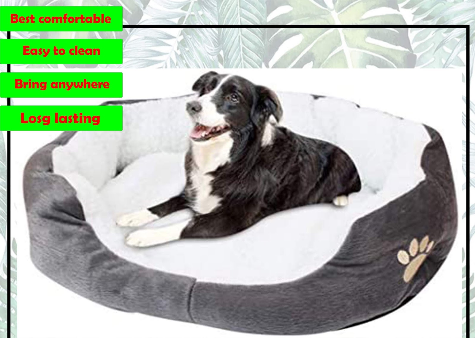 The best cuddler dog bed in 2020 Our Daily Needs
