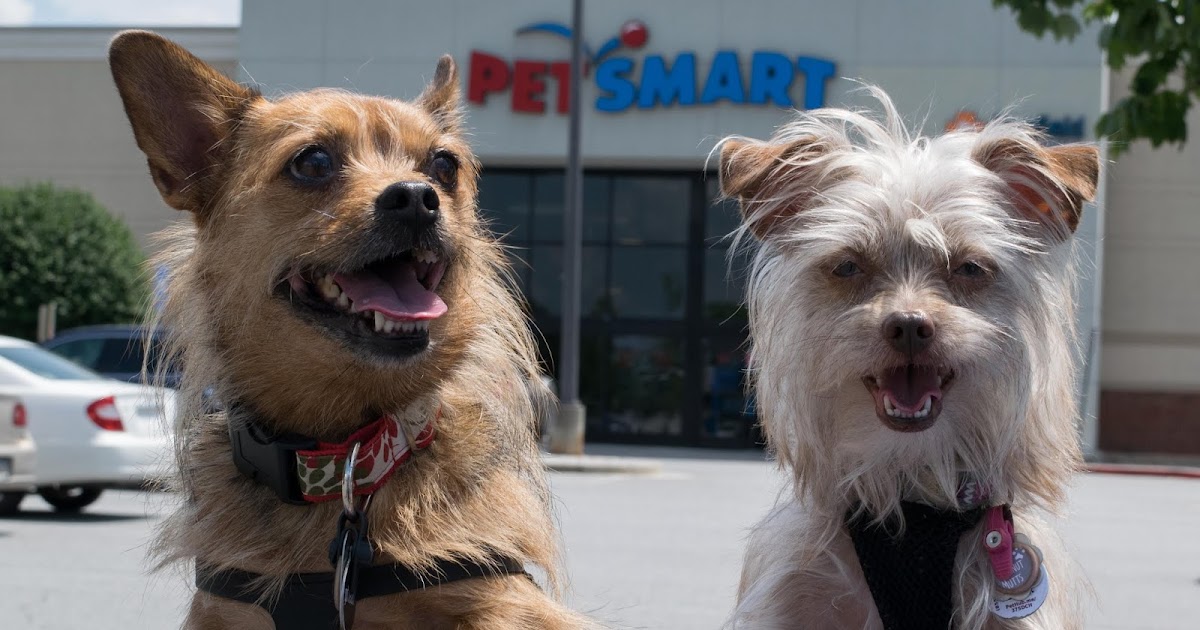 The Chesnut Mutts Online Coupon Codes