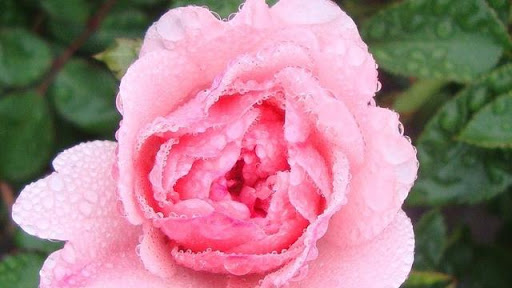 click on pic - Jessica Annis - Land Use Planner Canada