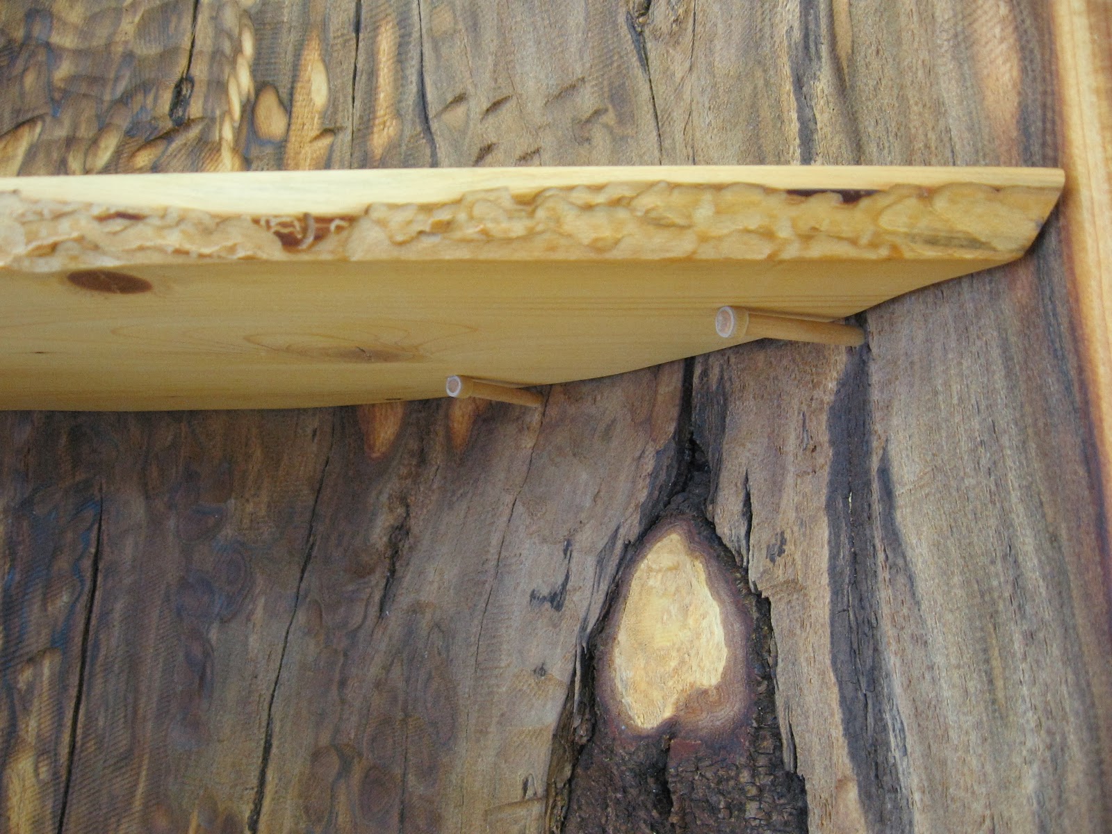 over the fence designs American Basswood Hollow Log