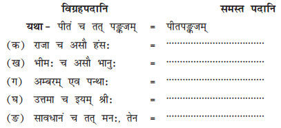 NCERT Solutions for Class 10 Sanskrit Shemushi Chapter 12 अनयोक्त्यः
