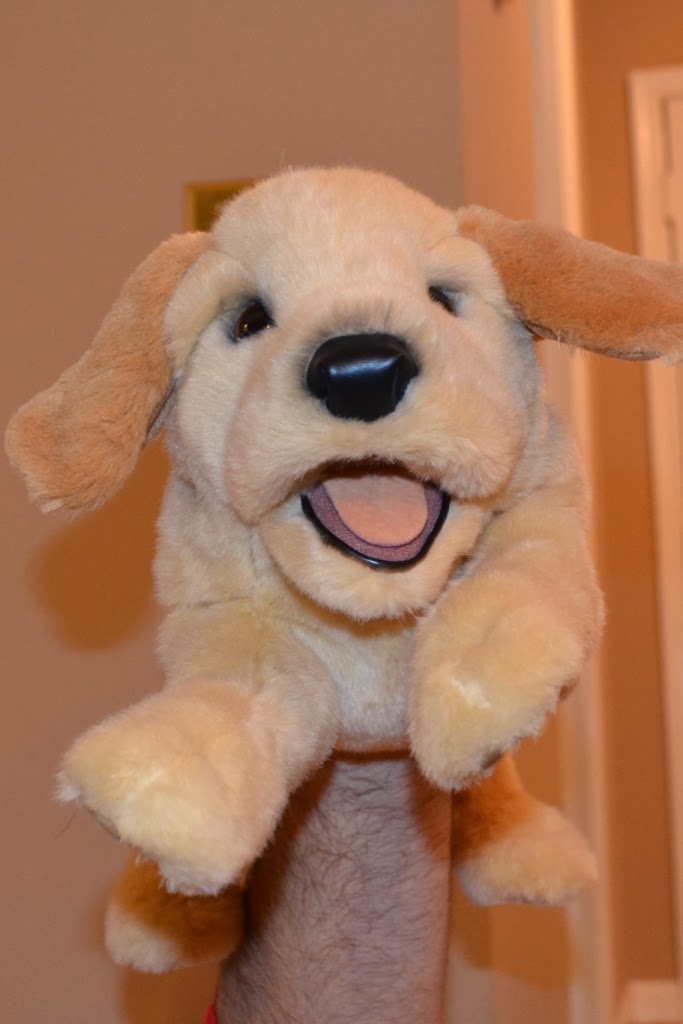 Whom You Know Whom You Know Continues to Highly Folkmanis