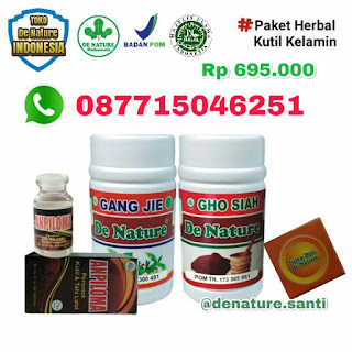 Apotik Online Jual Obat Kutil Kelamin Di Banda Aceh (100% Asli De Nature)