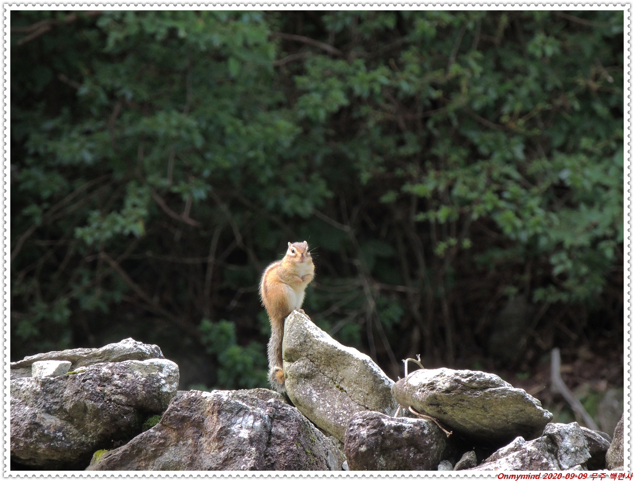 무주 백련사 무주 백련사