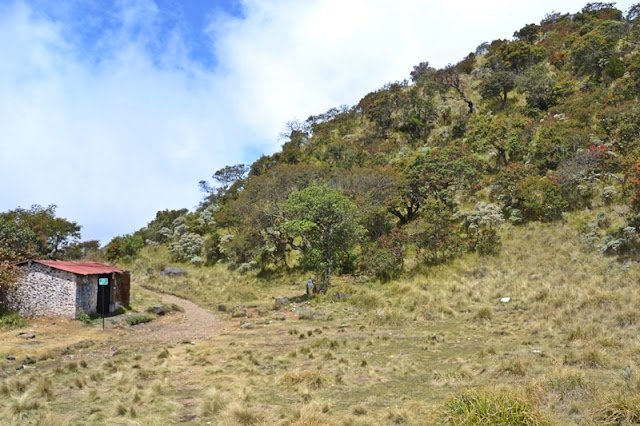 Jalur pendakian gunung lawu via cemoro kandang