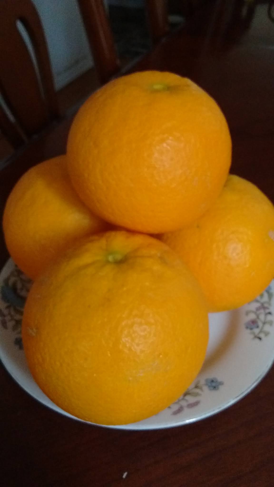 My Two Cents Not Quite Gold Dust