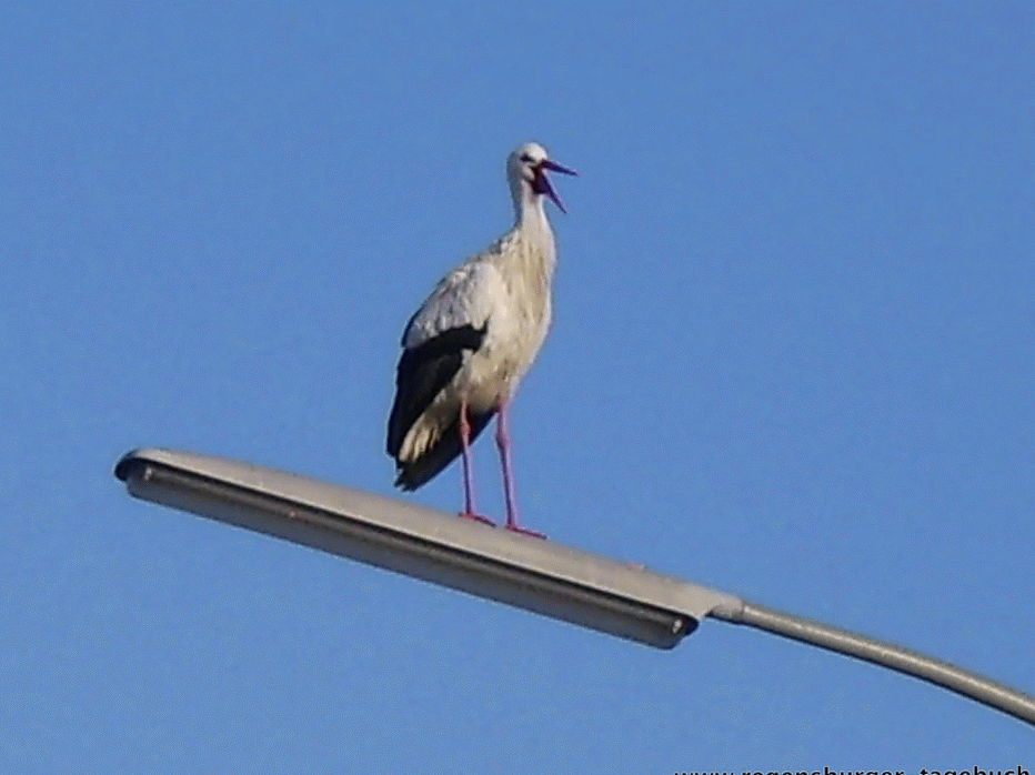 Https Encrypted Tbn0 Gstatic Com Images Q Tbn 3aand9gcsn8nsbvskggl7r4kd6wjy4rcw7vikxn3lz2g Usqp Cau