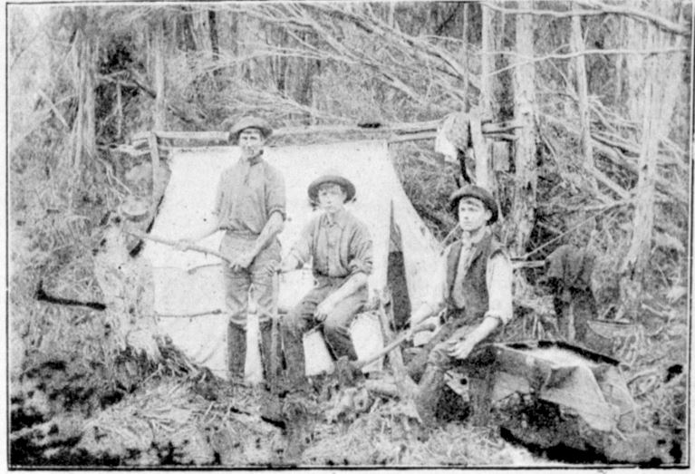 Koo Wee Rup Swamp History Koo Wee Rup Village Settlement