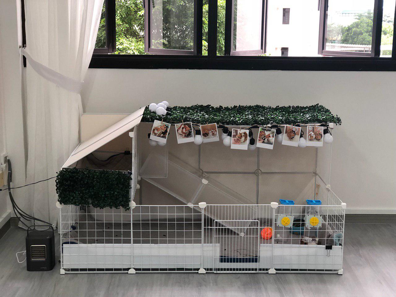 Customised C&C Cage for my Guinea Pigs Guineathebuilder