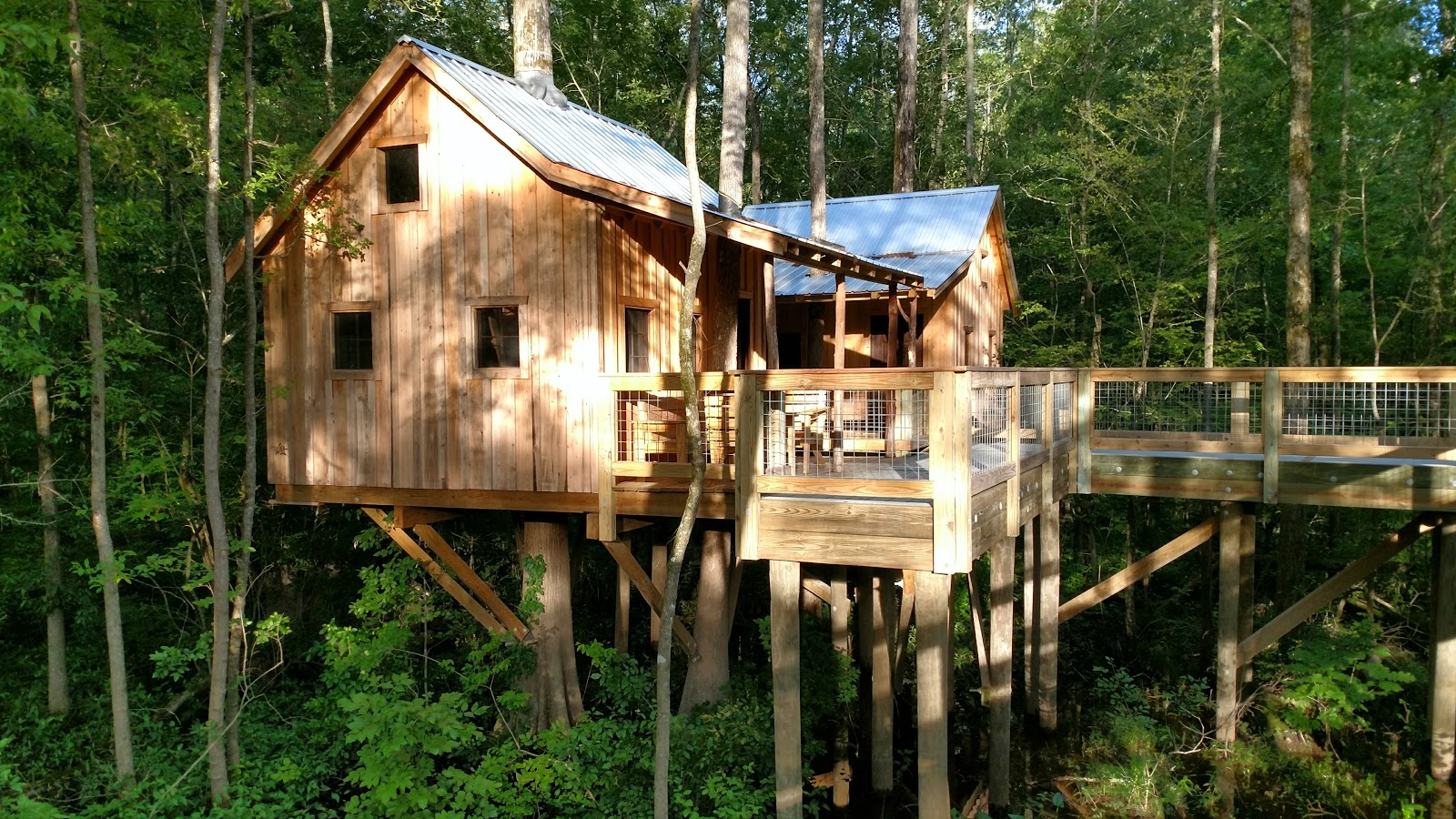 Roving Reports by Doug P 201711 Windsor North Carolina