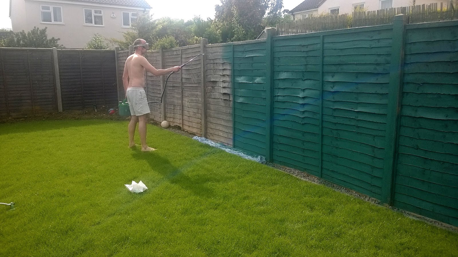 Parrotfish Seagrass Paint Color Paint Choices