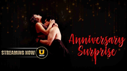 The Annivesary Surprise 2019 Hindi Complete WEB Series 720p HEVC x265