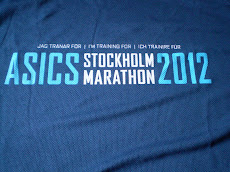 Trainingsshirt voor Stockholm