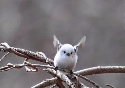 4대천왕.JPG | 인스티즈