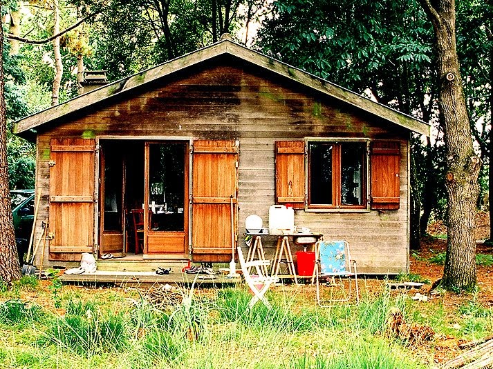 The Flying Tortoise What Could Be A Better Dwelling Than A Little