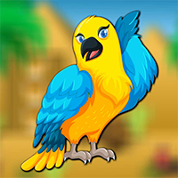 AvmGames Beautiful Bird Escape