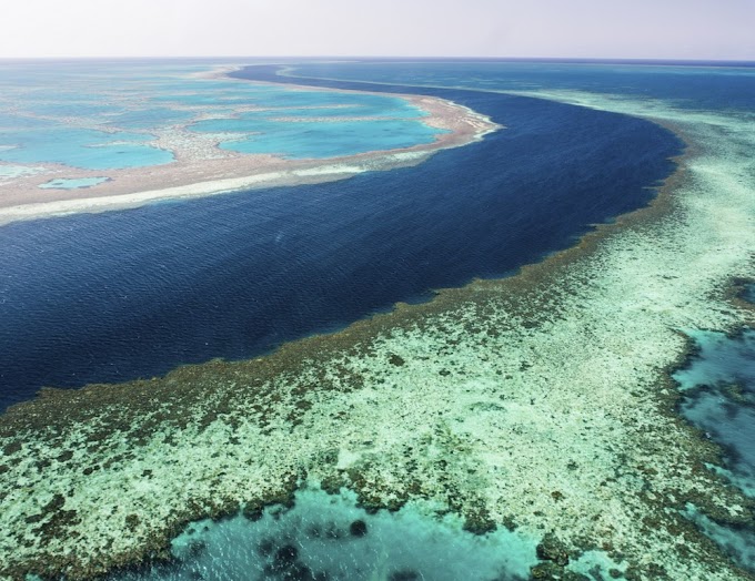 Great Barrier Reef Marine
