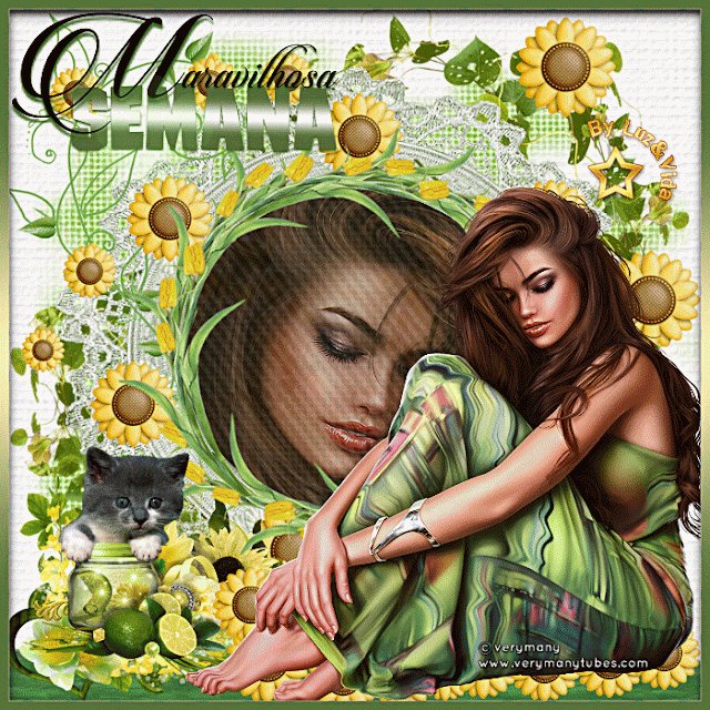 BLOGS31-%2B%2528MB%2529maryluz.gif